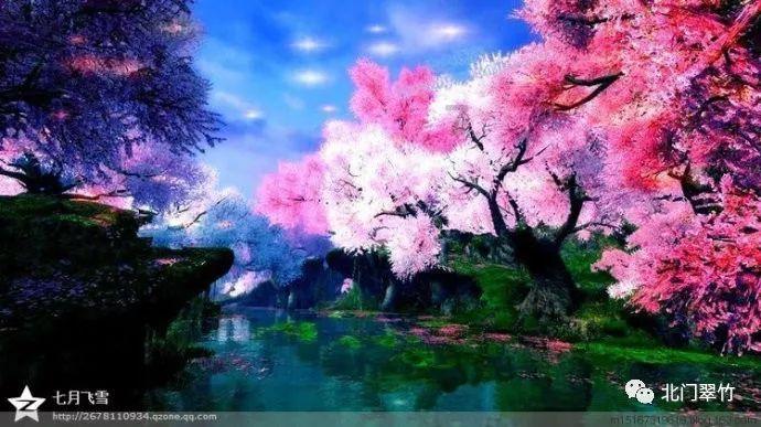 饿狮救援