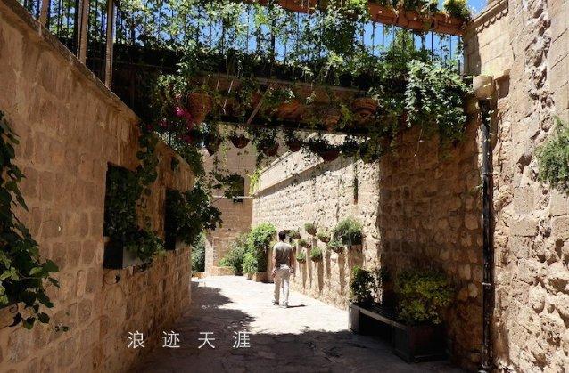 怎么样预防痔疮游戏画面