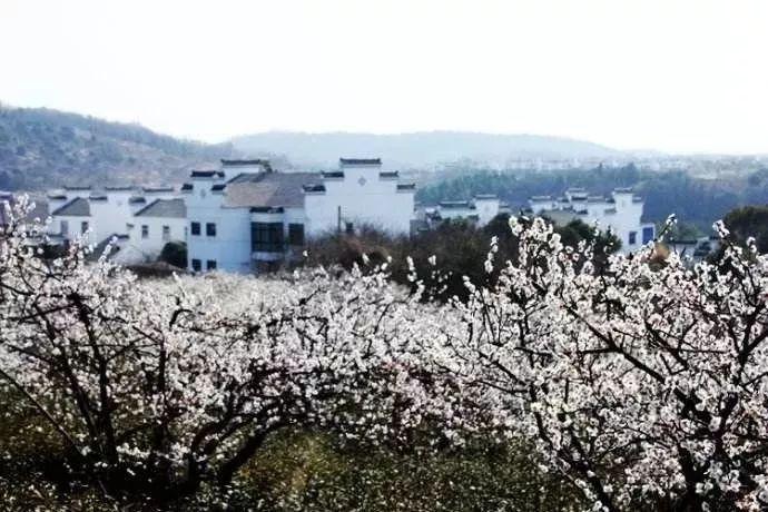 影视工厂