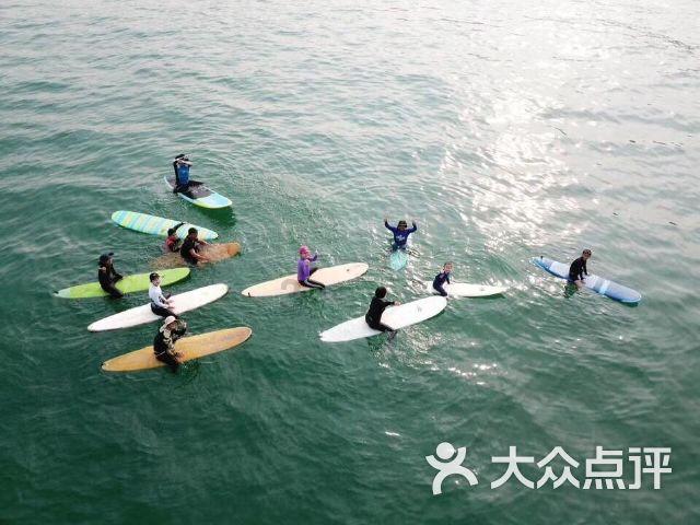 为什么自然界必须是雄性追求雌性,男性追求女性?反过来不行吗?知识星球-专注知识分享,打造学习与成长的平台