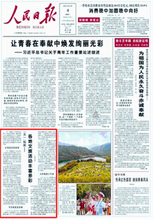 白色森林逃脱