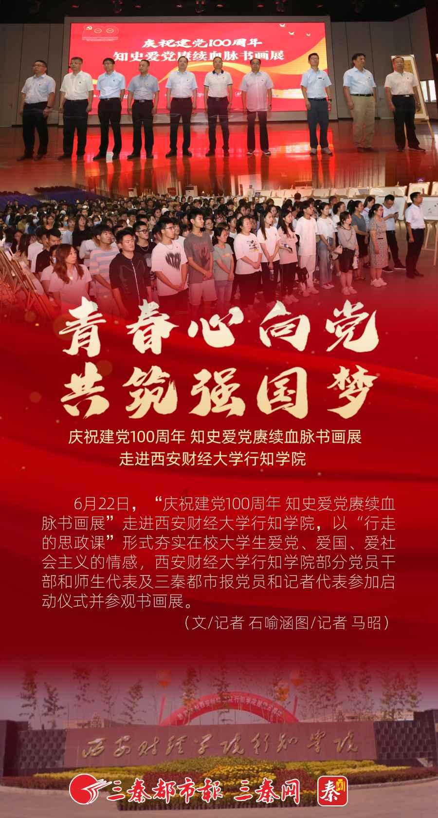 破碎的动物图形2