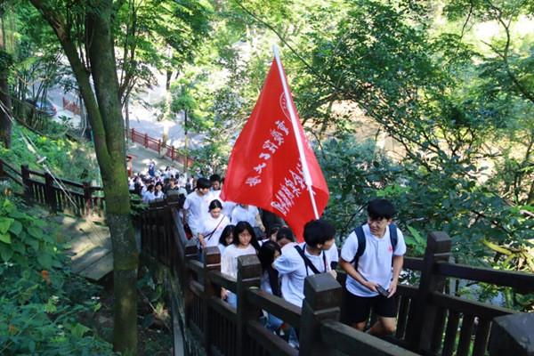 点数大战