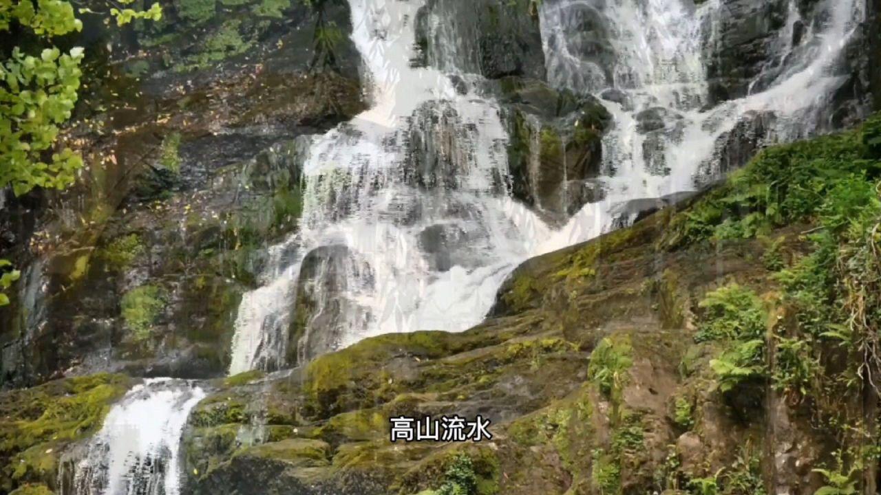春雨直播app