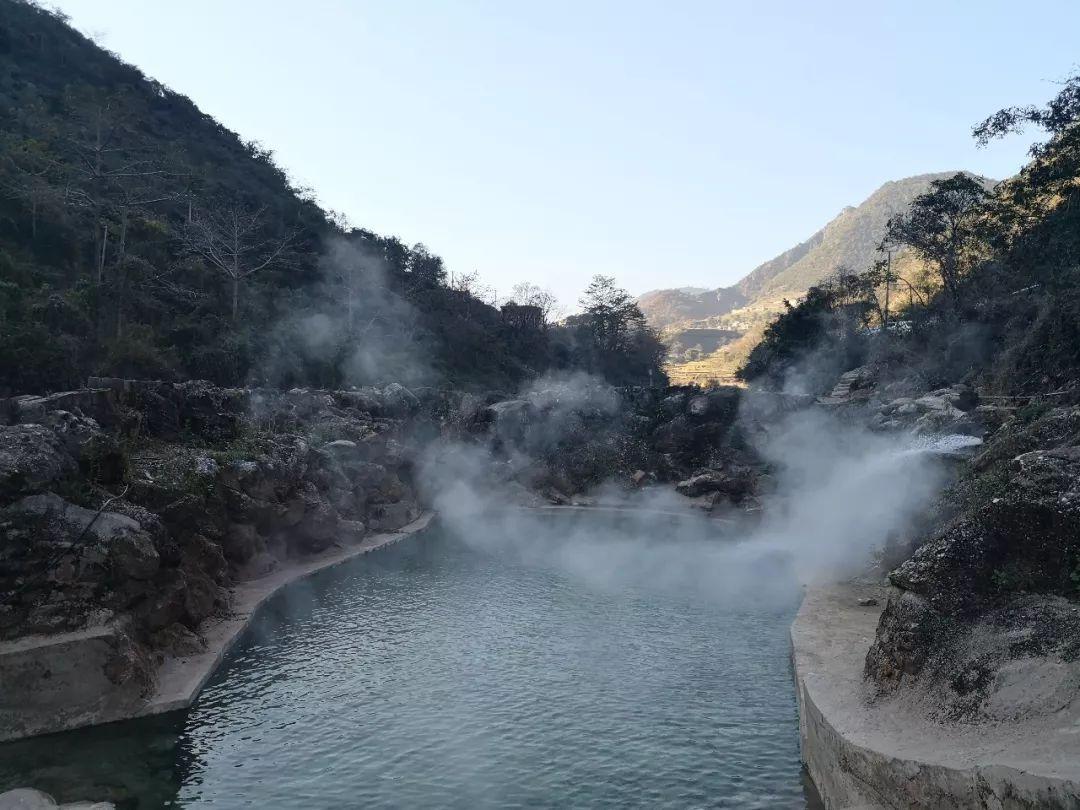 美人鱼游玩