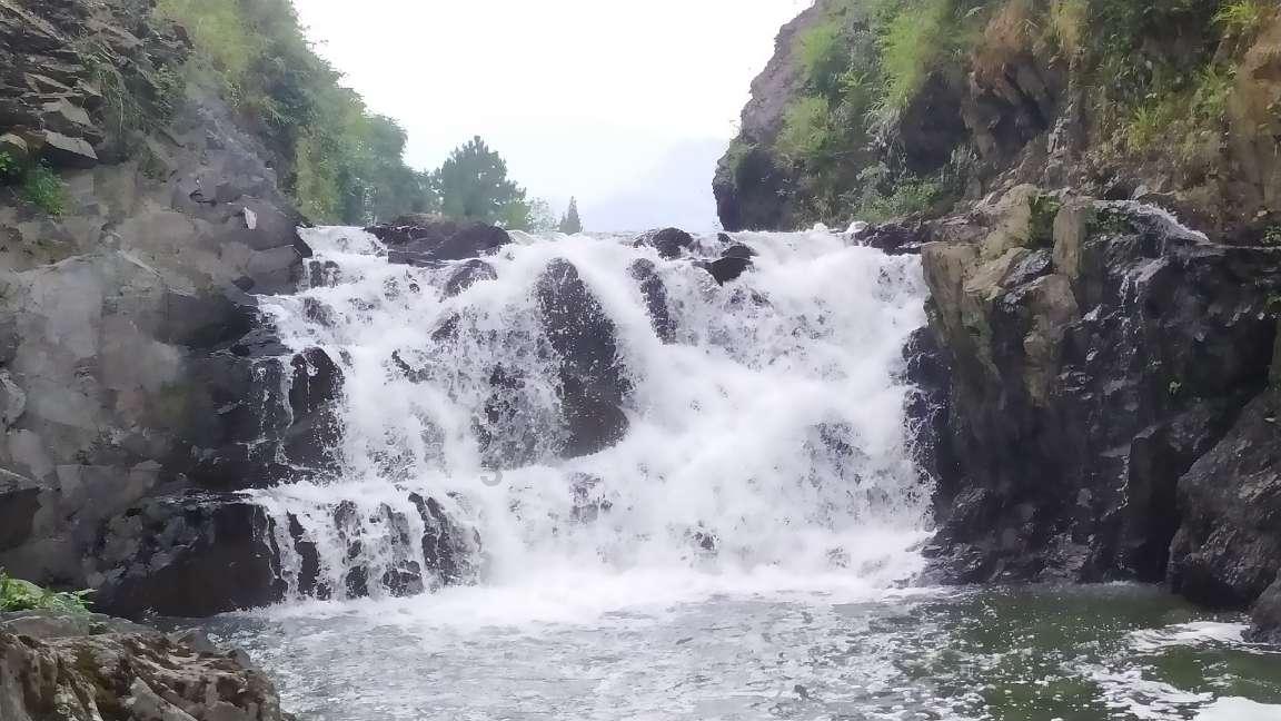 沪江开心词场