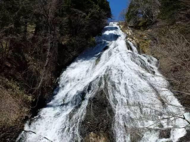 召唤神龙万宁版祖龙