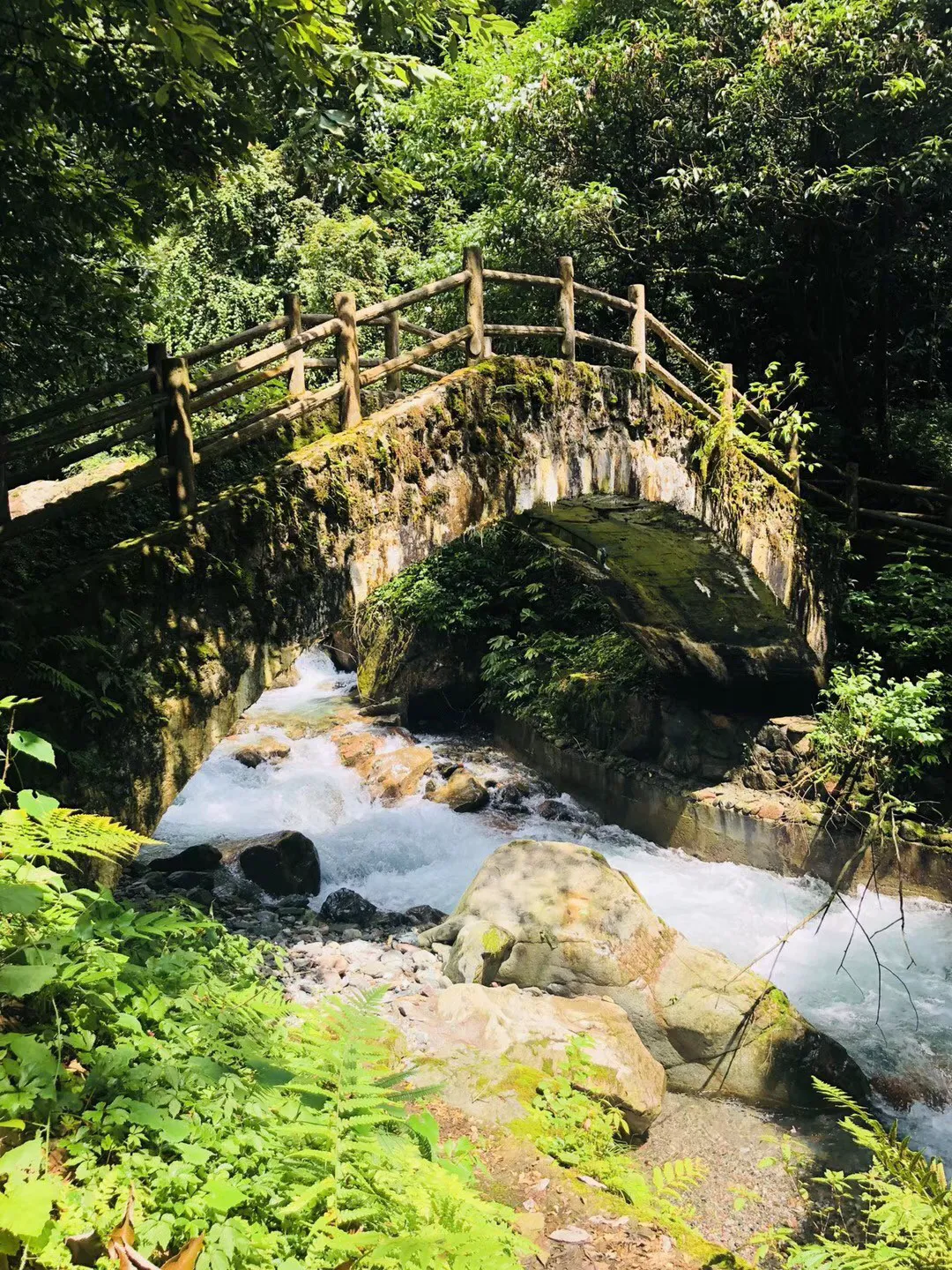 旅途/风之旅人