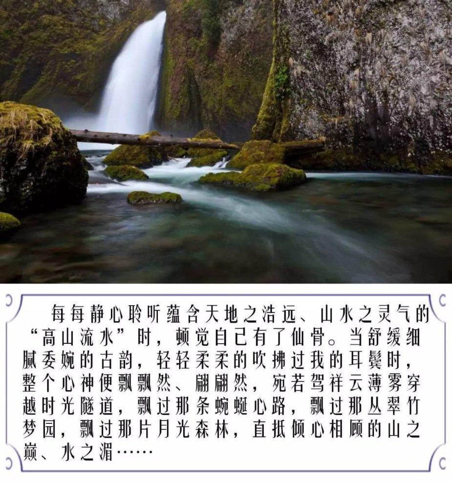僵尸顶顶乐