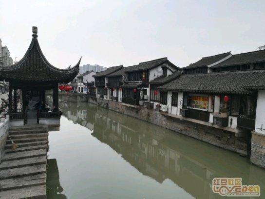 动物帮帮忙保卫家园