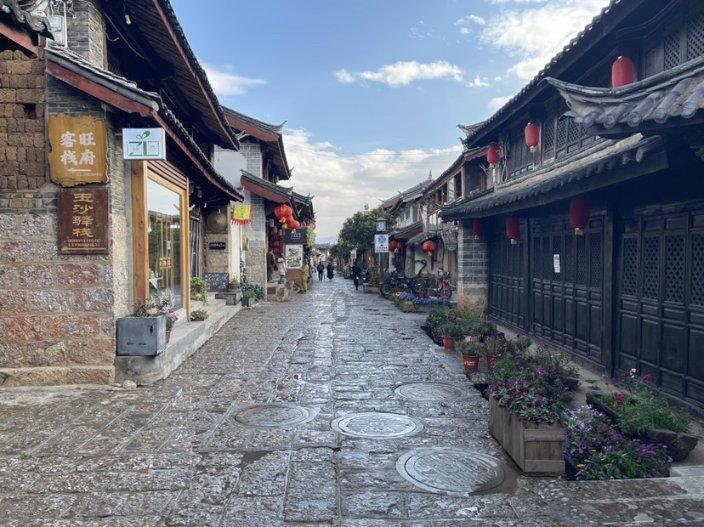 动物帮帮忙保卫家园