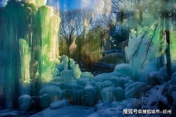 逗小猴开心系列195
